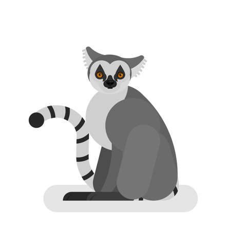 Lemur animal. Creature with a grey and black furのイラスト素材