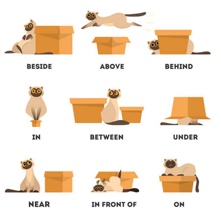 Cat and box set. Learning preposition concept. Animal above and behind, near and under the box.のイラスト素材