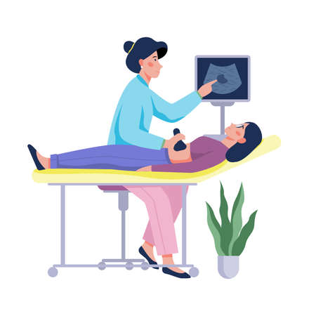 Pregnant woman visiting doctor in hospital. Patient is examinedのイラスト素材