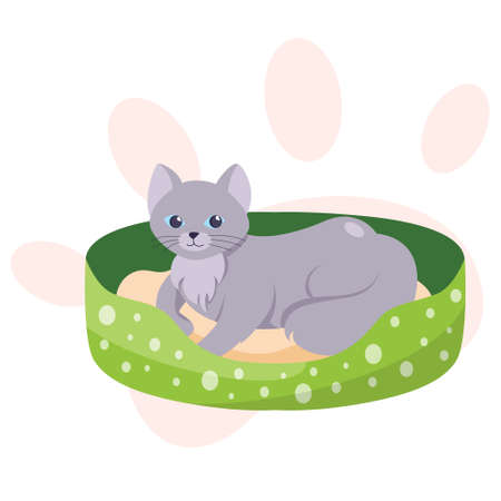 Cute little cat lying in cat bed. Kitten at home.のイラスト素材