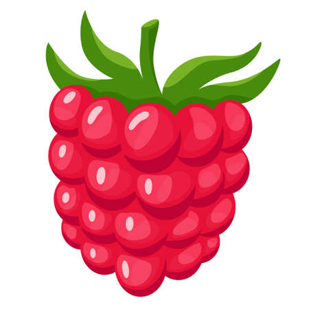 Sweet delicious raspberry. Fresh summer berry. Organic vegan food. Isolated flat illustration