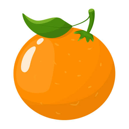Sweet delicious orange. Fresh summer fruit. Organic vegan food. Isolated flat illustrationのイラスト素材
