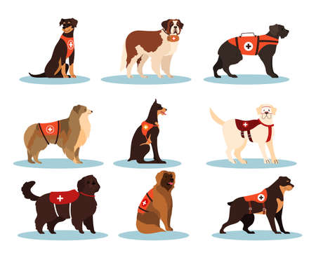 Set of dogs rescuers. Collection of the cadaver dogs of various breedのイラスト素材