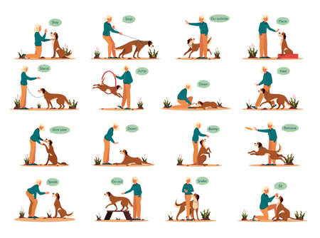 Woman training her pet dog set. Collection of happy puppy having commandのイラスト素材