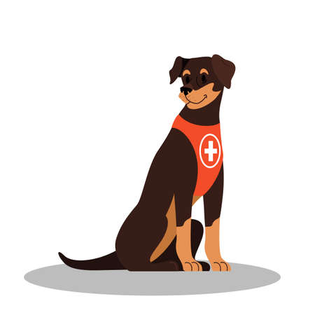 Dogs rescuer, Pinscher breed. Cadaver dog for finding people.のイラスト素材