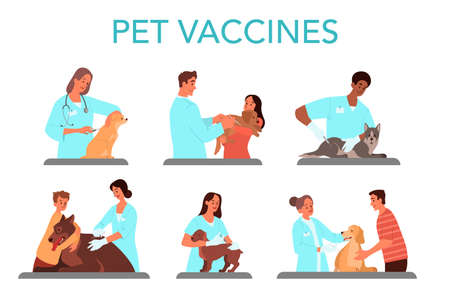 Pet vaccination set. Veterinary doctor making a vaccine injectionのイラスト素材