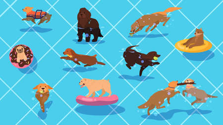 Cute funny purebred dog in the pool set. Dog in swimming poolのイラスト素材