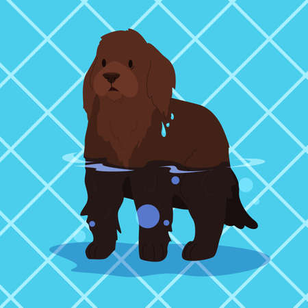 Cute funny purebred dog in the pool. Animal in swimming pool.のイラスト素材