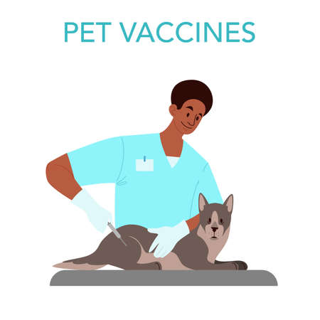Pet vaccination concept. Veterinary doctor making a vaccine injectionのイラスト素材