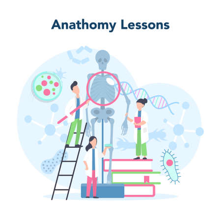 Biology school subject concept. Scientist exploring human skeleton. Anatomy lesson. Idea of education and experiment. Vector illustration in cartoon styleのイラスト素材