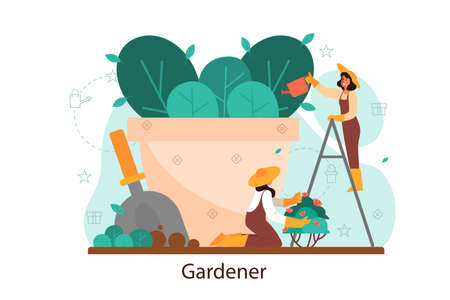 Woman watering flower in the pot. Idea of gardening and horticulturalのイラスト素材