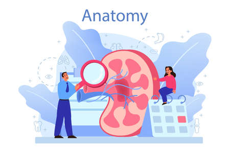 Anatomy school subject. Internal human organ studying. Anatomyのイラスト素材