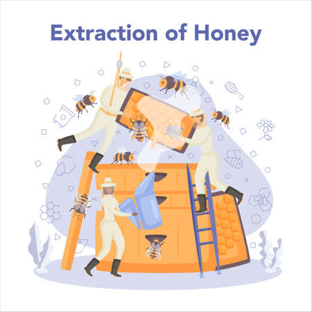 Hiver or beekeeper concept. Professional farmer with hive and honey