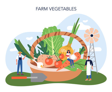 Farm vegetables concept. Farming food production. Village groceries.のイラスト素材