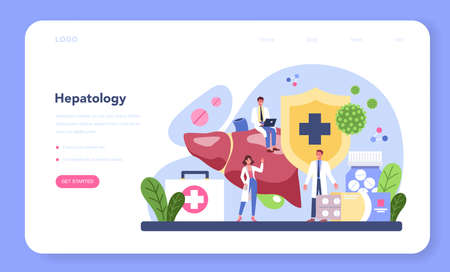 Hepatologist web banner or landing page. Doctor make ultrasoundのイラスト素材