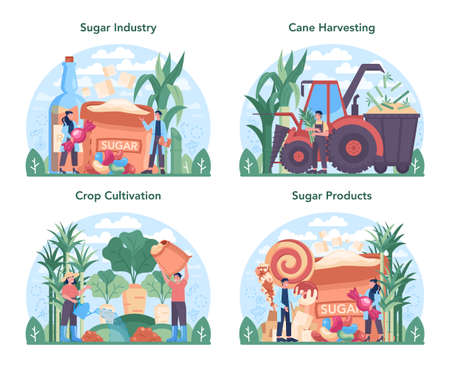 Sugar production industry set. Saccharose and fructose extractedのイラスト素材