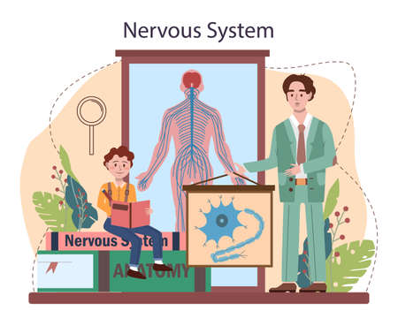 Anatomy school subject. Internal human organ studying. Human bodyのイラスト素材