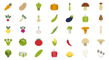Set of vegetables, mushrooms and nuts. Fresh and tasty organic foodのイラスト素材