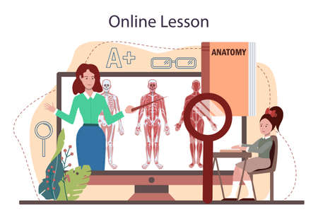 Anatomy school subject online service or platform. Internal humanのイラスト素材