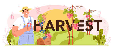 Harvest typographic header. Wine production. Grape selection, cultivationのイラスト素材