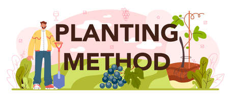 Planting method typographic header. Wine production. Grape tree selectionのイラスト素材