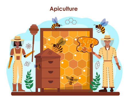 Hiver or beekeeper concept. Apiculture farmer gathering honey.のイラスト素材