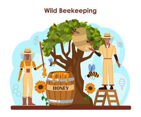 Hiver or beekeeper concept. Apiculture farmer gathering honey.のイラスト素材