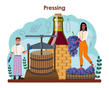 Wine maker concept. Grape wine aging in a wood barrel. Wine factoryのイラスト素材