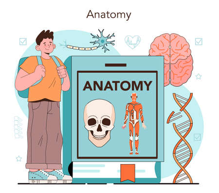 Anatomy school subject. Internal human organ studying. Biology classes,のイラスト素材