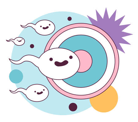 Female egg cell and sperm cell. Ovum insemination and spermatozoonのイラスト素材