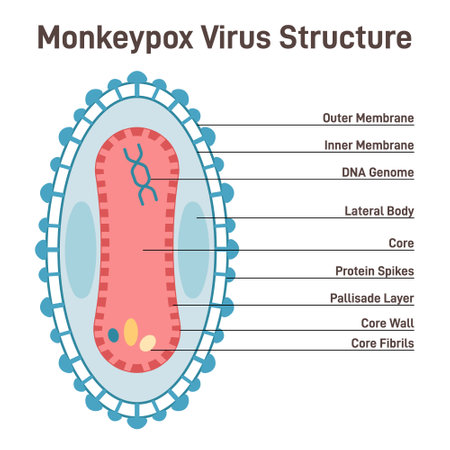 Monkeypox cell structure. New pandemic disease caused by orthopoxvirusのイラスト素材