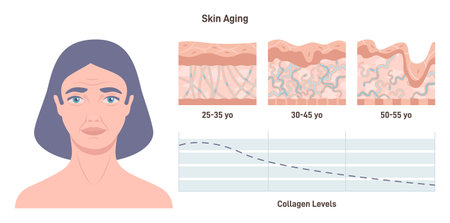 Aging process and the reduction of collagen levels in the skin. Close-up femaleのイラスト素材