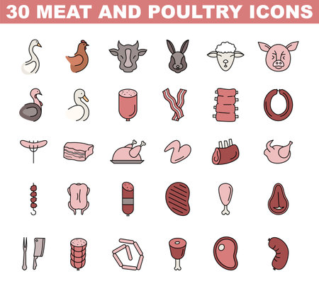 Meat and poultry colored icons set. Simple meat food collection.のイラスト素材
