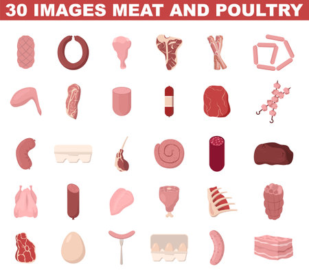 Meat and poultry set. Meat food. Pork, beef, chicken. Fresh ingredientのイラスト素材