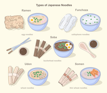 Asian noodles types set. Traditional japanese unprepared food and dishesのイラスト素材