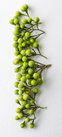 Pea Eggplants on white backgroundの写真素材