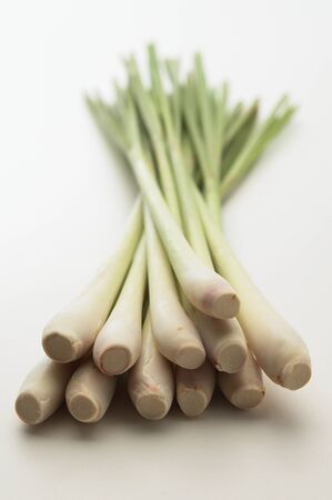 Fresh Lemon grass on a white backgroundの写真素材