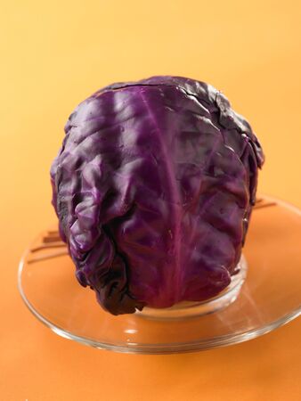 Purple cabbage on yellow backgroundの写真素材