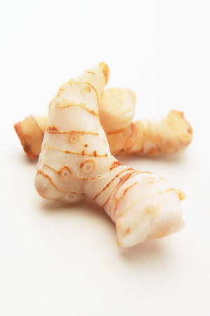 galangal isolated on the white backgroundの写真素材