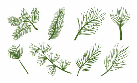 background of flora and palm leavesのイラスト素材