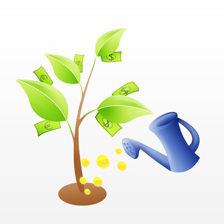 tree with green leafs and money and  blue watering investment concept theme over whiteの写真素材