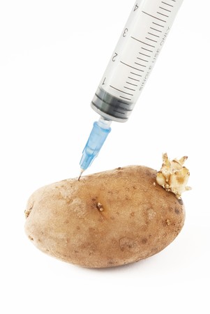 Potatoe and syringe. genetic modification foodの写真素材