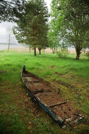 skeleton of wood boat
の写真素材