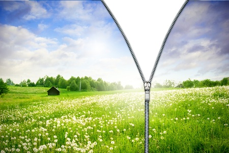 Zipper unzipped green field. の写真素材