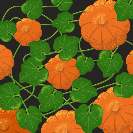 Pumpkins pattern with grain shadow can use for banner, poster, ads, grocery, sticker, and promotionalの写真素材