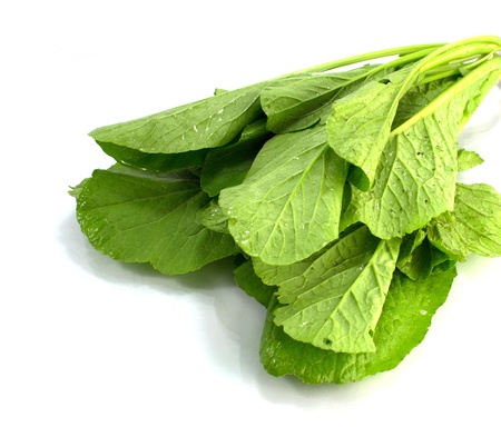 Choy sum on white 