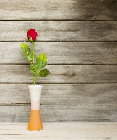 Vintage,still life rose flower on woodの写真素材