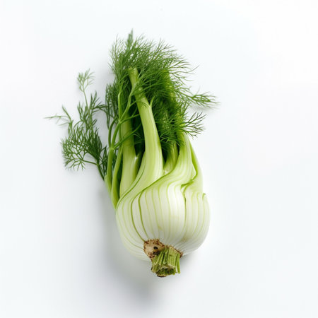 A green and white fennel vegetable Generative AI Generatedの素材