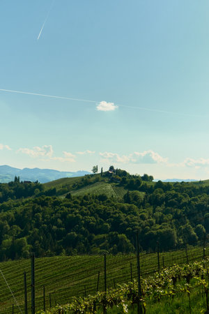 View of green hills with vineyards and forests, a house on a high hill, blue sky with airplane...