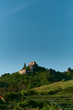 Photo of medieval castle ruins on a hill, viewed over vineyard terraces and a forested hill under a clear blue sky. Scenic and historic landscape.の写真素材